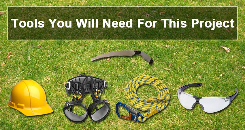 Tree Pruning Tools You Will Need For This Project