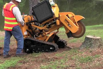Tree Stump Removal & Grinding