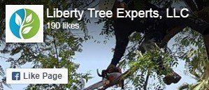 Liberty Tree Experts - Facebook Page
