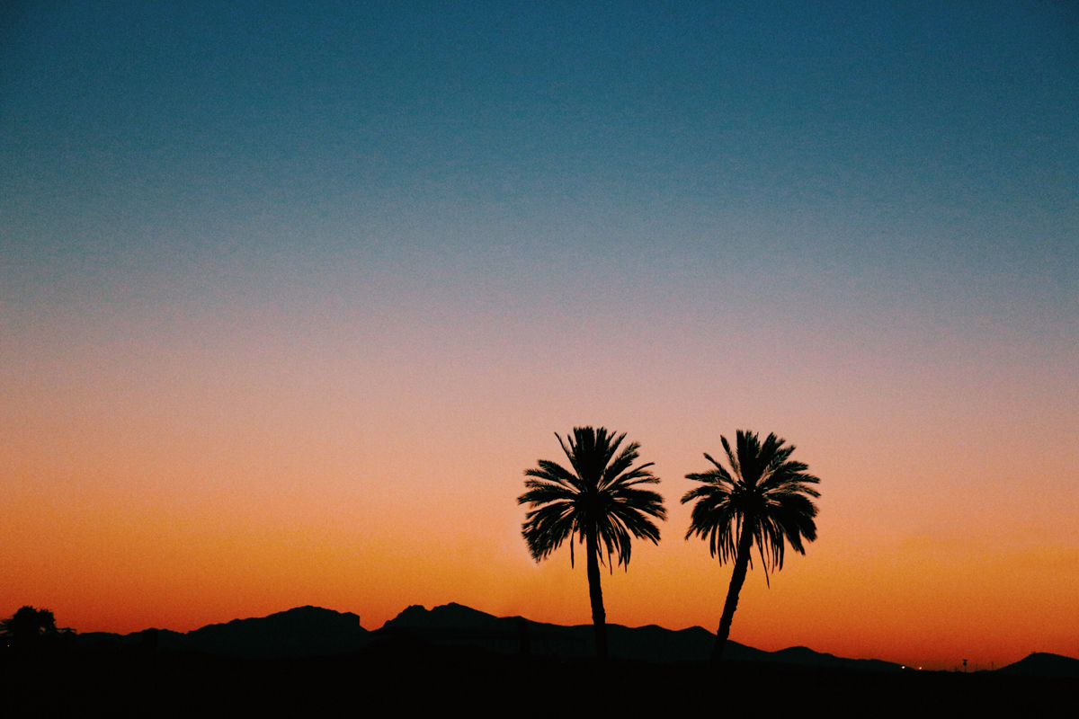 Arizona-Shade-Trees-That-Dont-Shed