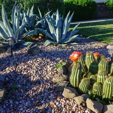 Landscape Designs